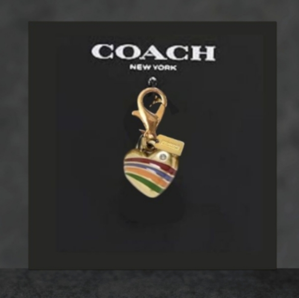 Coach Multicolor Striped Heart Keychain